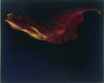 Untitled (Autumn leaf) 2002 by Irene Wellm