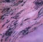 Oxalate Section (pink & purple) 2000 by Irene Wellm