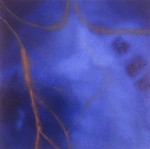 Untitled IV (blue & orange) 2000 by Irene Wellm