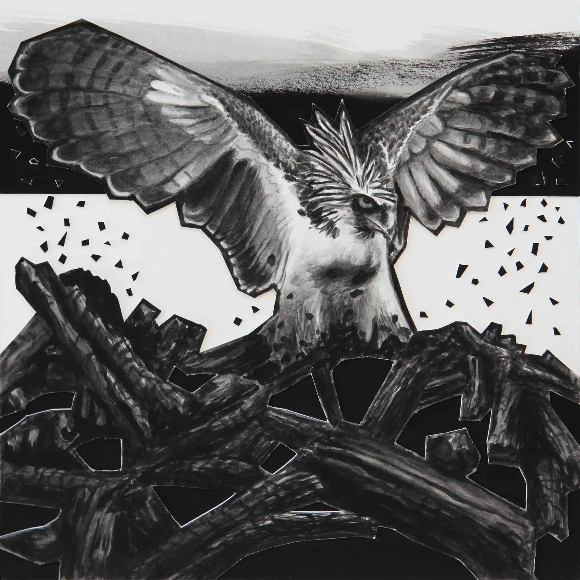 WELLM_Phoenix risingLR_2020