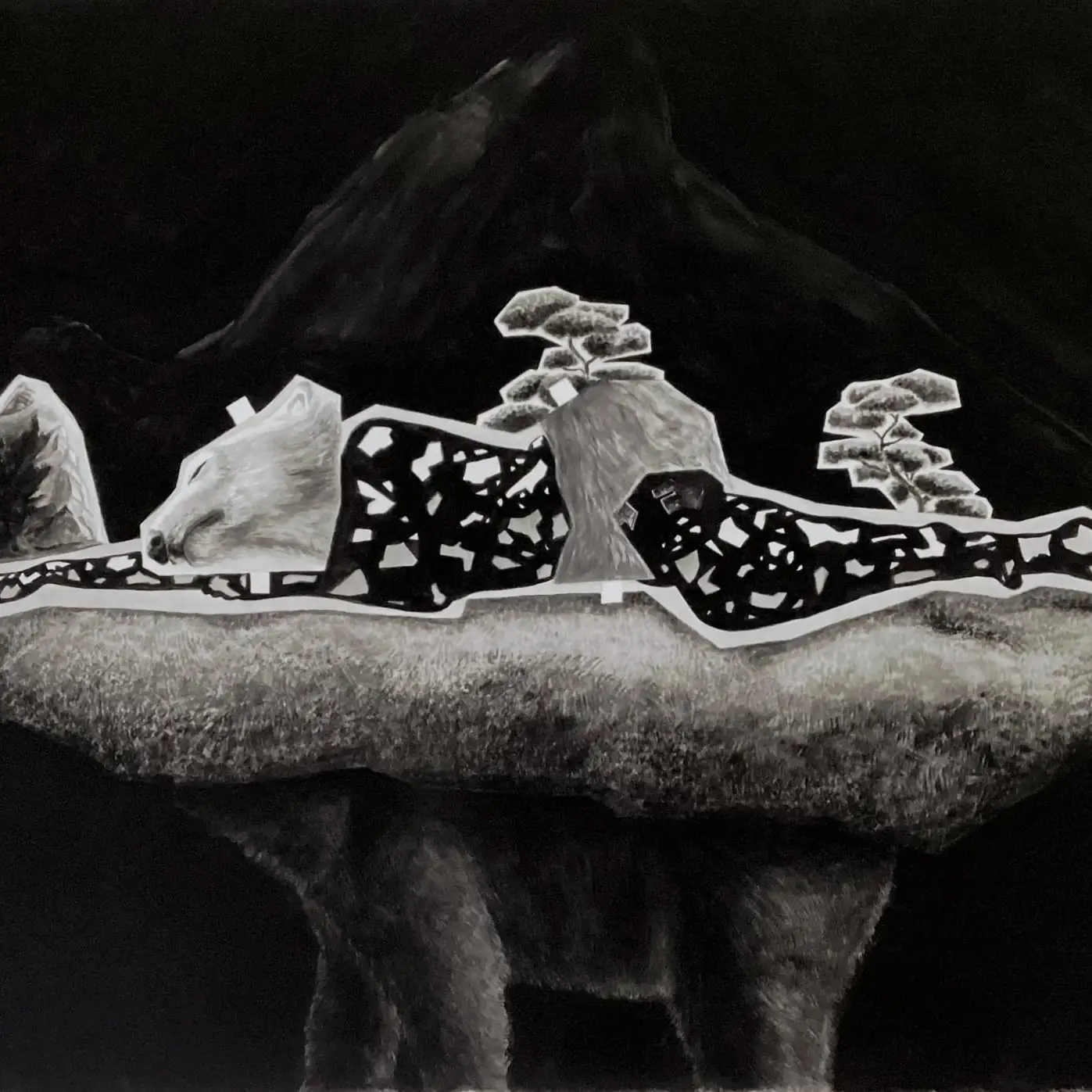 WELLM_TERRAFIRMA_2024