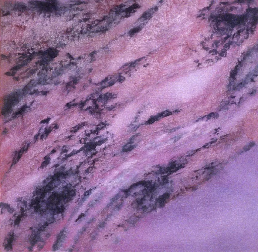 Oxalate Section (pink & purple)