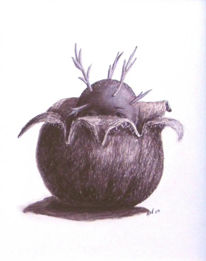 Studies for unknown paintings: Shy