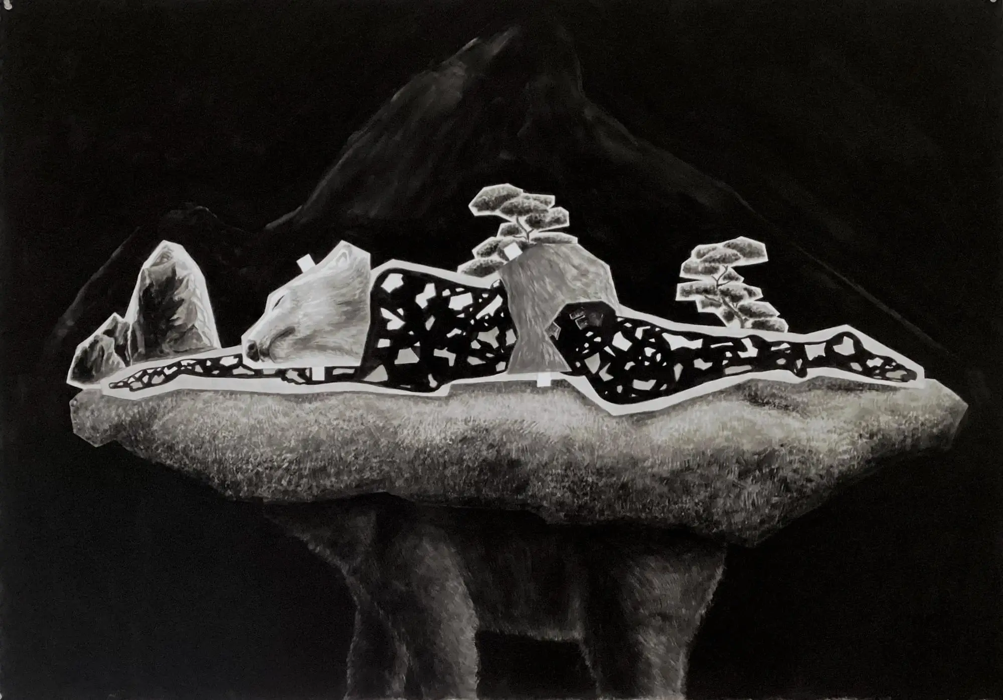 WELLM_TERRAFIRMA_2024