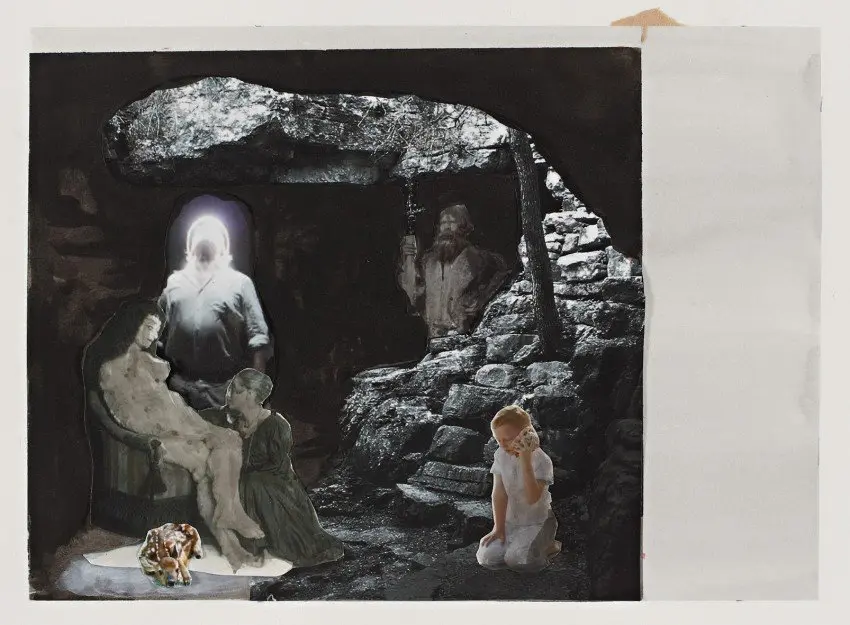 Collage study for Momentum of Evolution