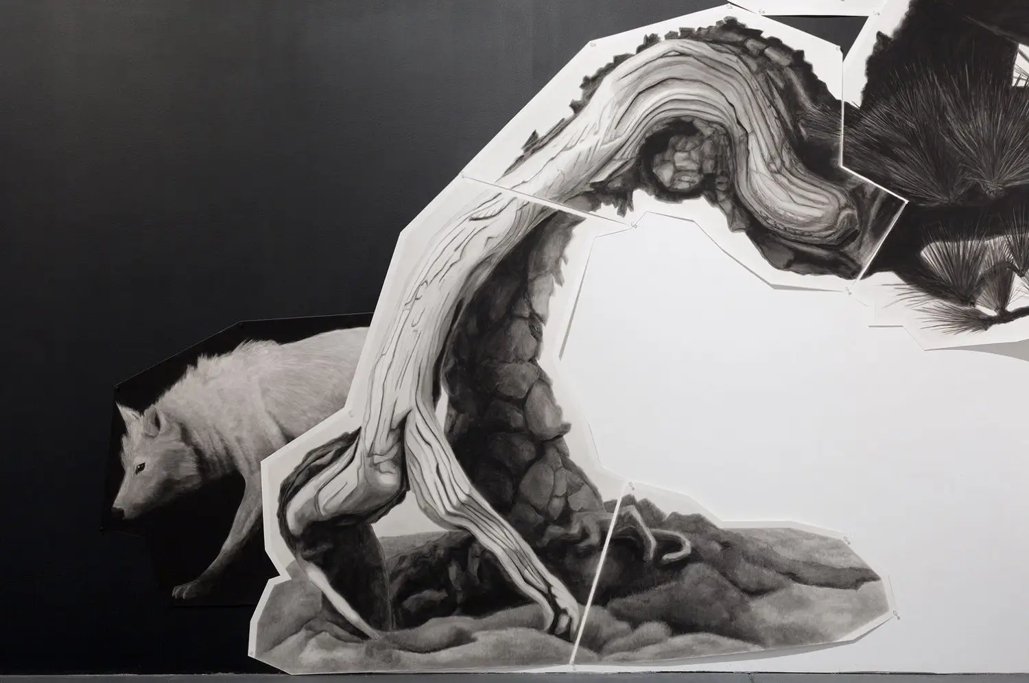 Mundus Imaginalis - Installation View (detail)