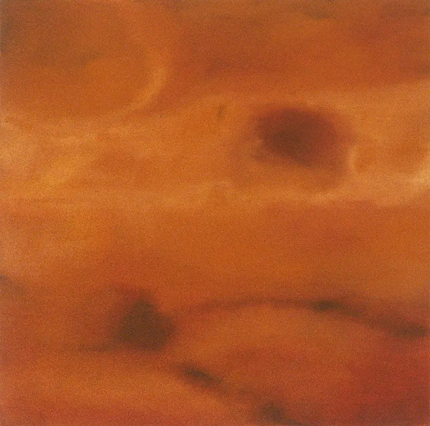 Influorescence (stomata)