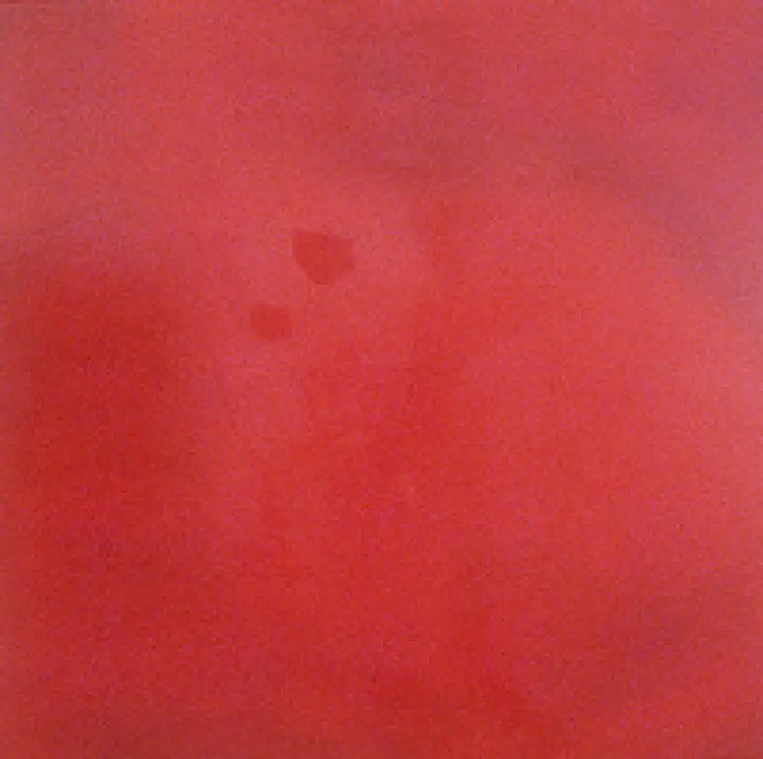 Untitled VI (red/pink)