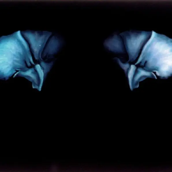 Untitled III (pine cone fragments)