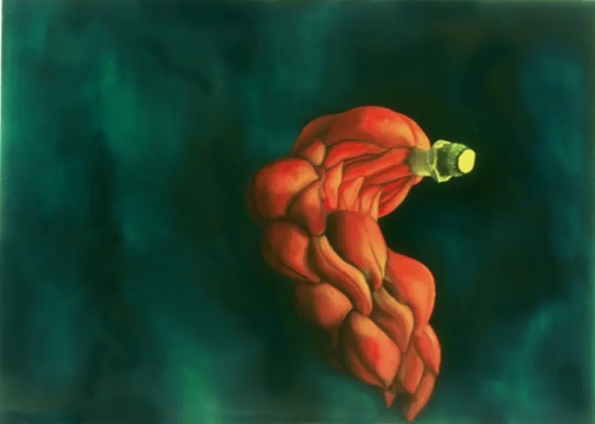 Untitled II (magnolia pod)