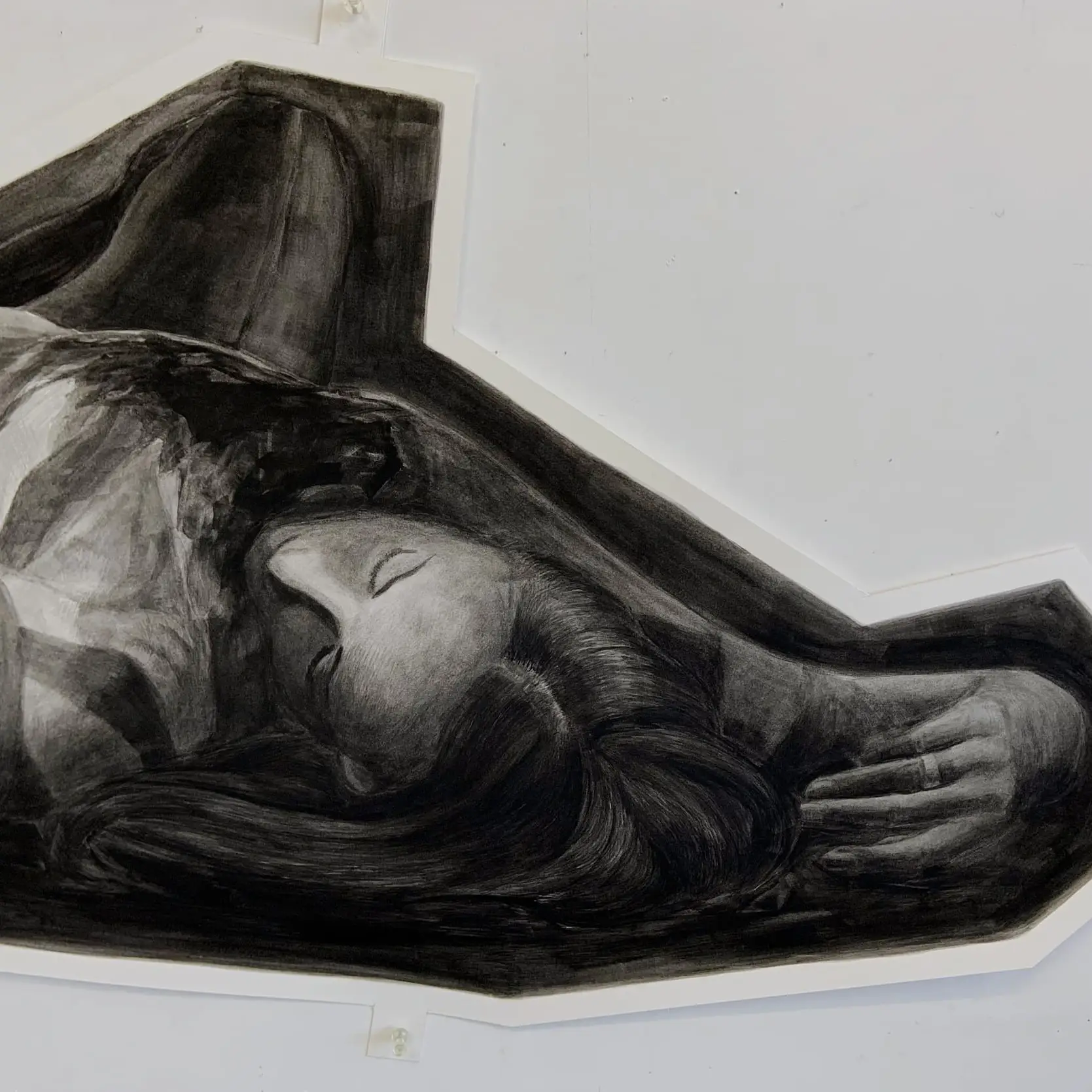 WELLM_ROADKILL_DETAIL2_2019